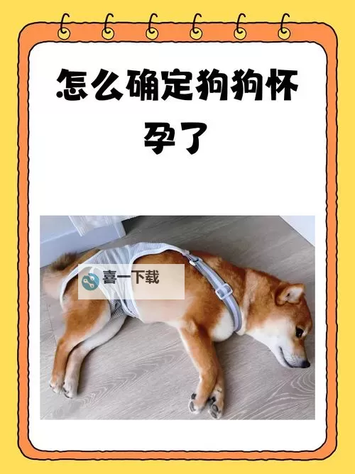 如何判断“顶到头了”?详细方法帮你轻松确定图1