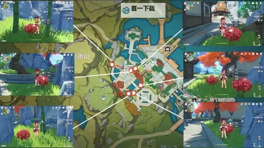 《原神》霓裳花收集路线分享 霓裳花在哪里采集图1