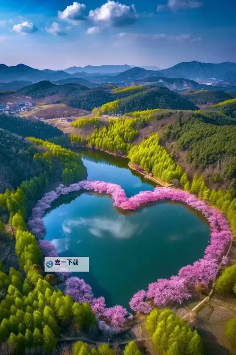 张津瑜视频XXXOVIDEO：最新精彩内容全解析图1