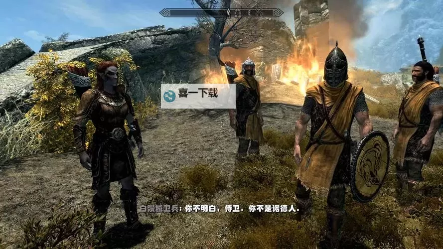 上古卷轴5:天际 种族选择以及技能详解图1