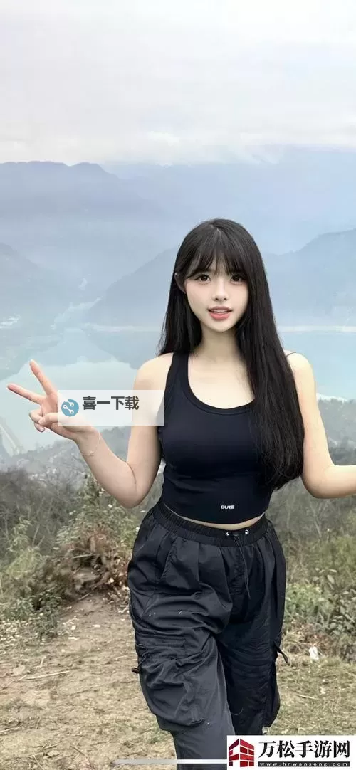 全面汇总:最权威的中文在线中文资源指南图2