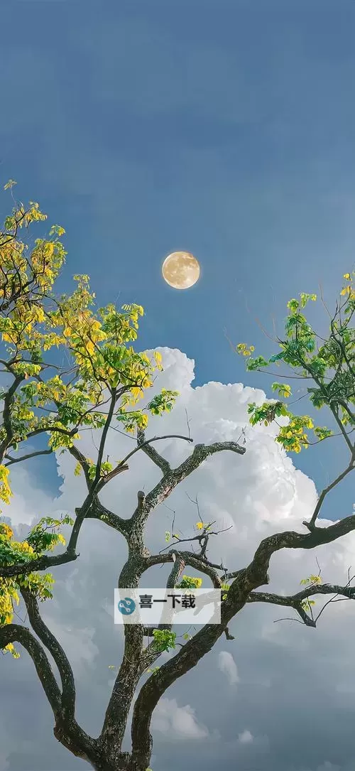 《糖心一区快播:最新破解资源全面分享》图1