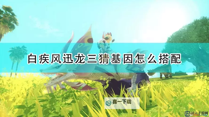 《怪物猎人物语2破灭之翼》白疾风因子搭配推荐图1