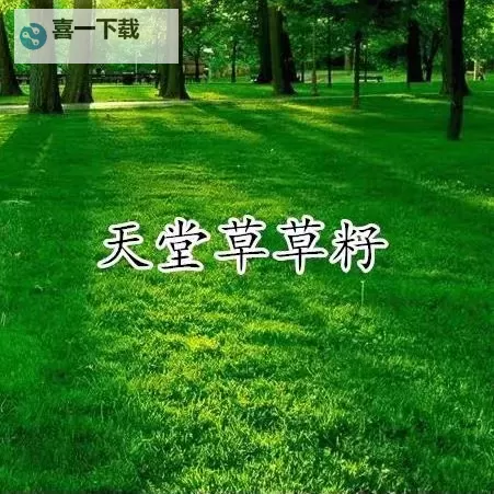 探索无限可能：全面解读在线天堂种子的秘密与魅力图1