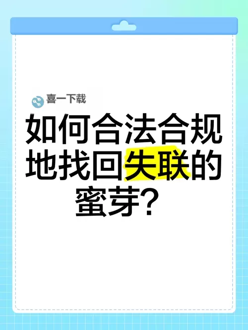 《永不失联by蜜芽在线免费观看：探索亲密无间的感动瞬间》图1