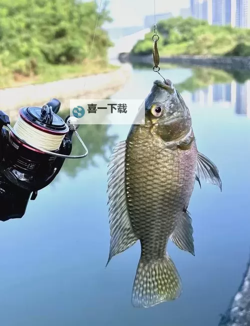 探索珠海钓鱼网：最佳钓鱼地点与技巧指南图1