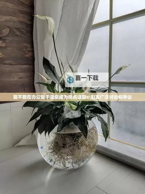 在办公室能不能干湿你：职场中的行为界限与礼仪解析图2