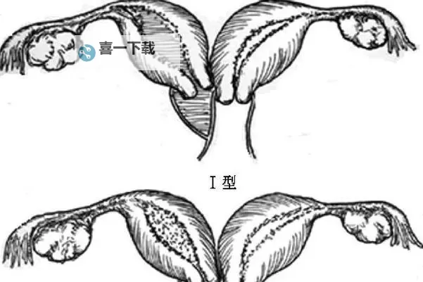 正常阴唇的样子照片视频:详尽展示自然之美图2