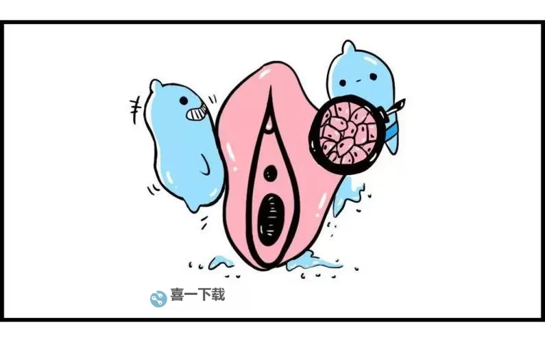 正常阴唇的样子照片视频:详尽展示自然之美图1