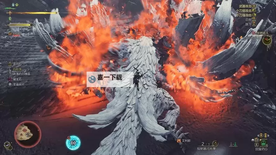 《怪物猎人荒野》热情满载的眼镜支线攻略 睡觉的小睛睛在哪图2