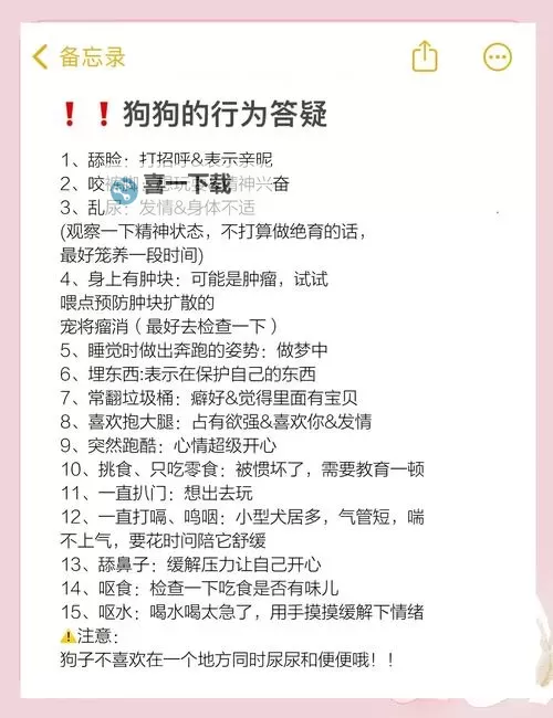 怎么让狗狗进入自己的房间不再难:有效方法大揭秘图2