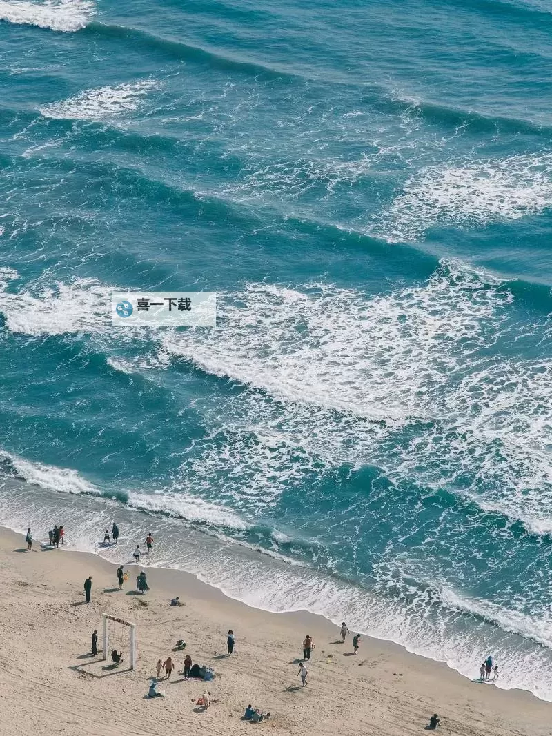 张柏芝门照艳丽亮相，风采尽显迷人风姿图1