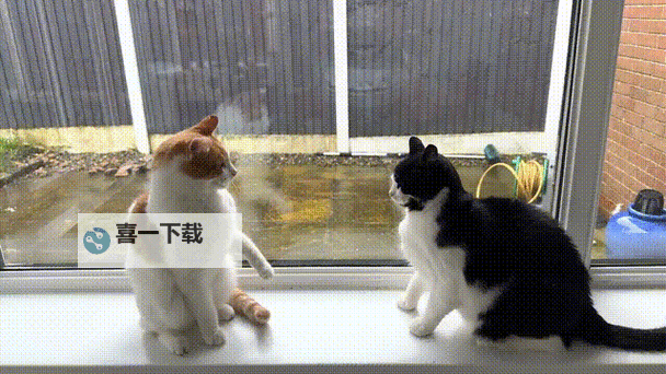 掌握自我安抚的步骤动图:轻松缓解焦虑的实用指南图1