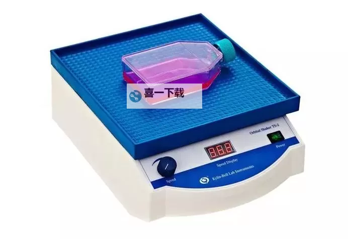 脱色摇床打扑克:另类休闲方式的魅力探索图1