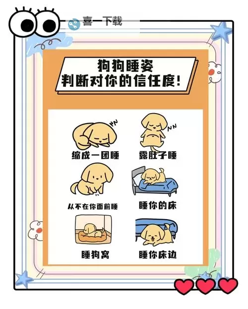 怎么让狗狗进入自己的房间不再难:有效方法大揭秘图1