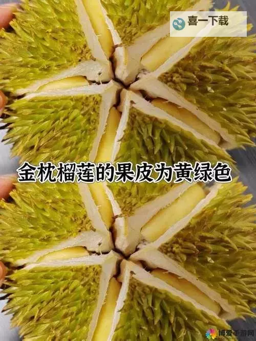 青春交响曲:草莓、榴莲、向日葵陪伴18岁的秋葵成长记图1