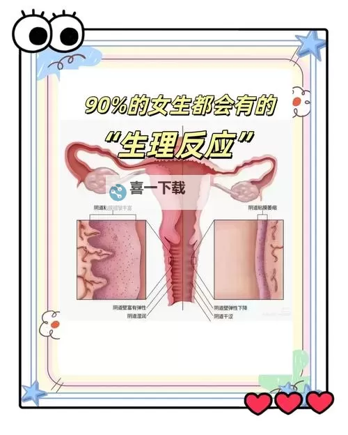 中日韩女性的生理需求：文化差异与共同关注点分析图1