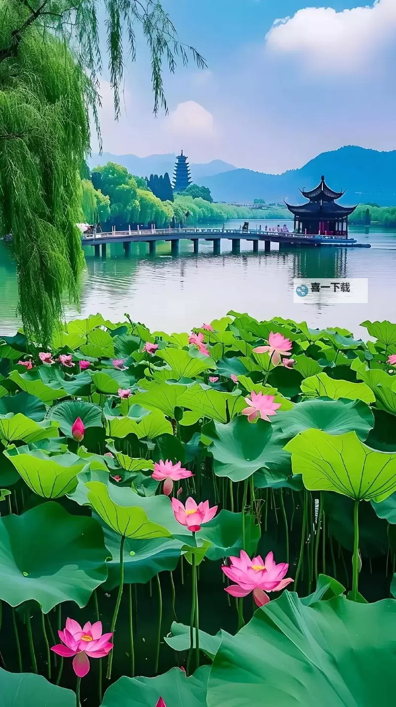 巫师之昆特牌如何双开 2021最新双开神器来袭图1