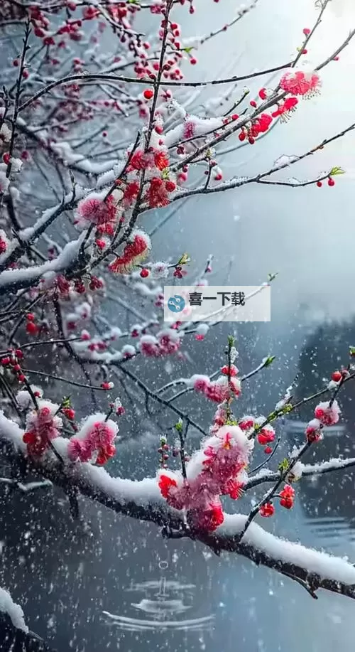 梓旭卡盟乐卡站：一站式卡片交易平台的全新体验图1