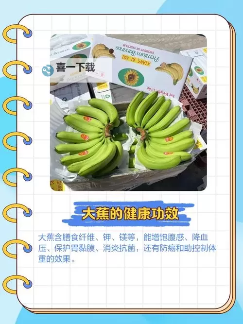 探索精彩内容尽在网站大香蕉——您的优选娱乐平台图1