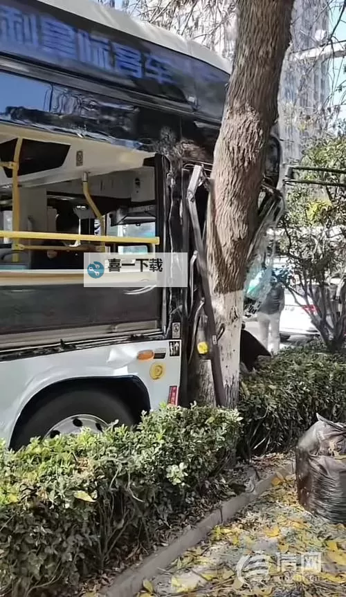 在公交车里撞了我八次:一次奇妙的相遇与别离图1