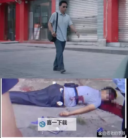 张警官头撞玻璃高清视频播放：事件全过程全景回顾图1