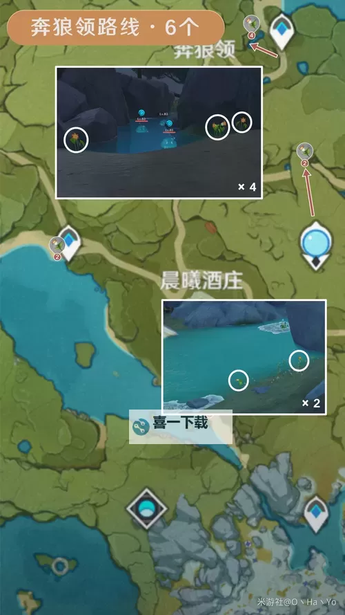 《原神》嘟嘟莲采集路线一览图2