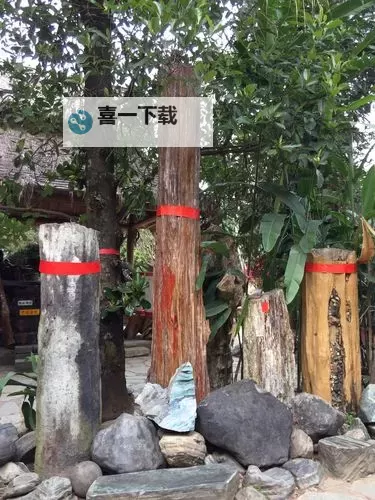 四房播皤五月第四色四房播皤五月第四色(ribenchengrendianyingwang)师父搞tv:最新动态与精彩推荐图1