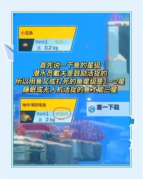 《潜水员戴夫》GYAO养鱼心得图1