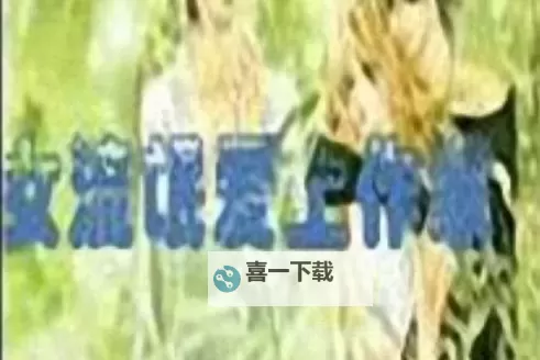 有个流氓爱上我：平凡女孩的意外爱情传奇图1