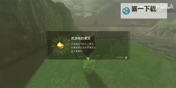 《塞尔达传说王国之泪》全呀哈哈果实获取方法汇总图1