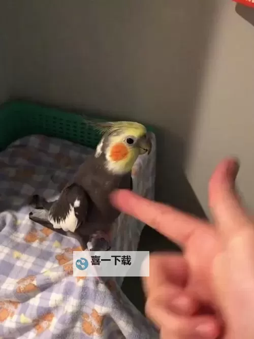 怎么都玩不够你：那些年我们共同追逐的时光图1