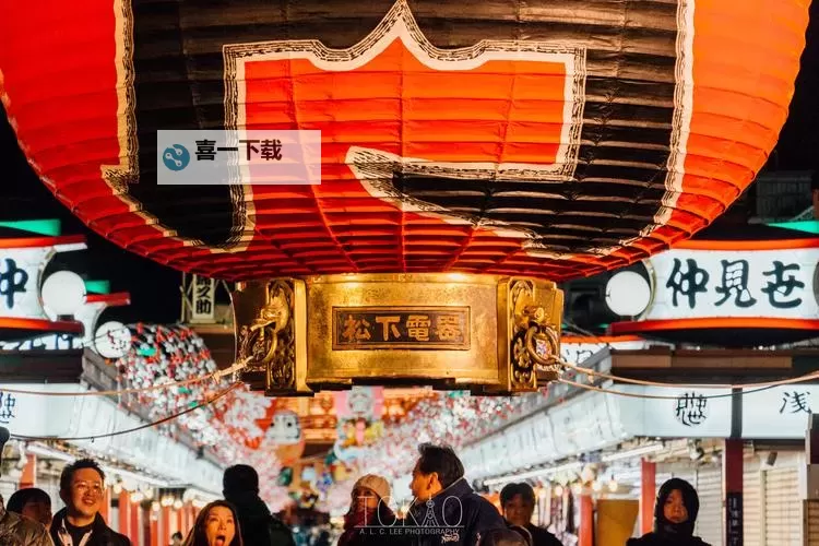 东京龙都市电脑版下载 横向测评：电脑玩东京龙都市模拟器推荐图1