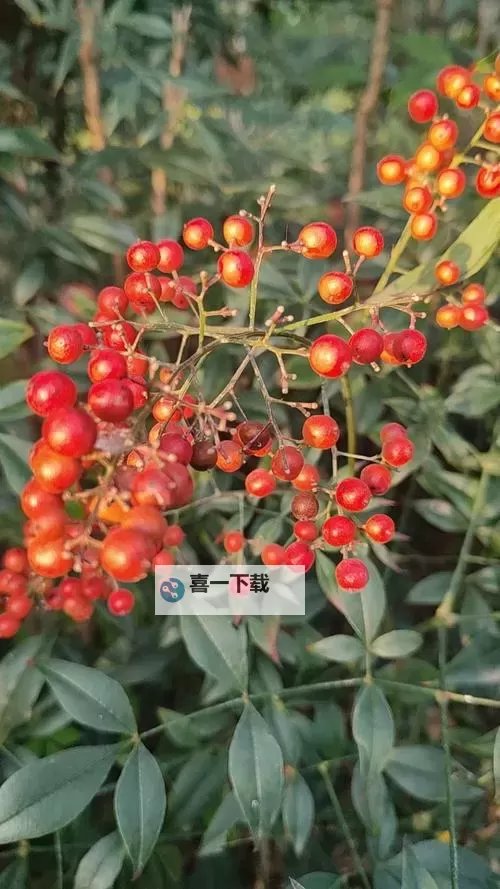 玉林红豆网：打造本地生活的温馨社区平台图1