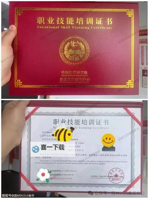 《如龙8外传夏威夷海盗》营养师证书考试正确答案一览图1