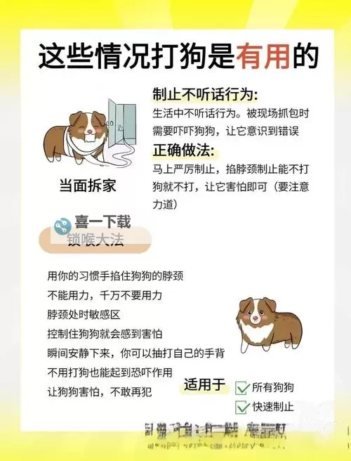 【实用指南】怎么让狗狗进入自己的房间门的方法与技巧图1