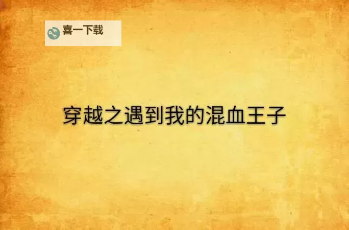 遇见我的混血王子：一段跨越国界的奇迹爱情图1