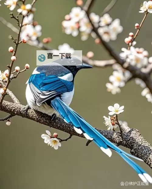 《CSGO2》测试资格申请教程 测试资格怎么申请图1