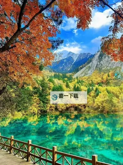 人人干人人搞：探索合作激发无限潜能的力量图1