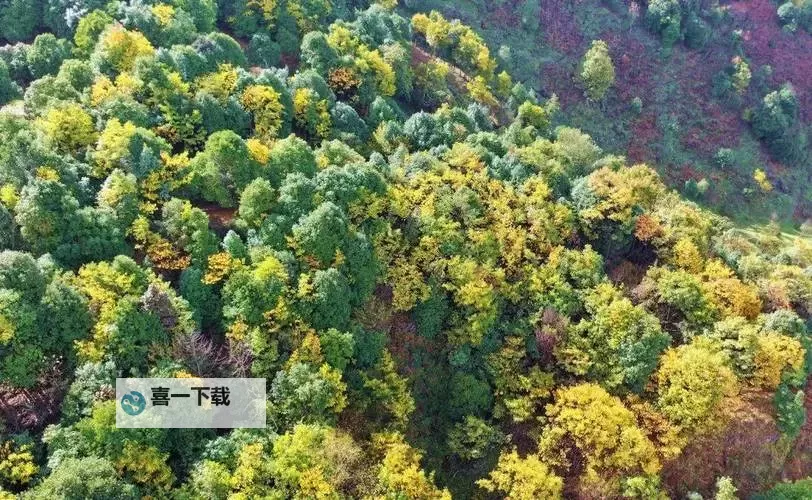 畅快淋漓:长篇肉辣文小说阅读推荐与精华分享图1