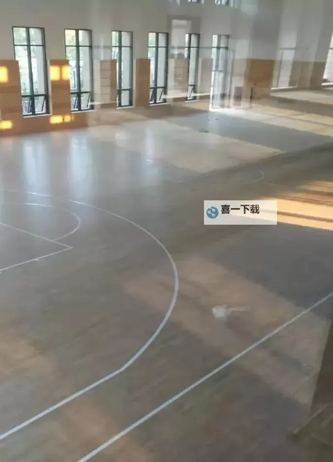 在体育室地板上C：运动时的精彩瞬间图1