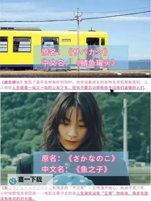 有人有免费的片资源吗www？你知道哪里可以免费在线观看高清影片吗？图1