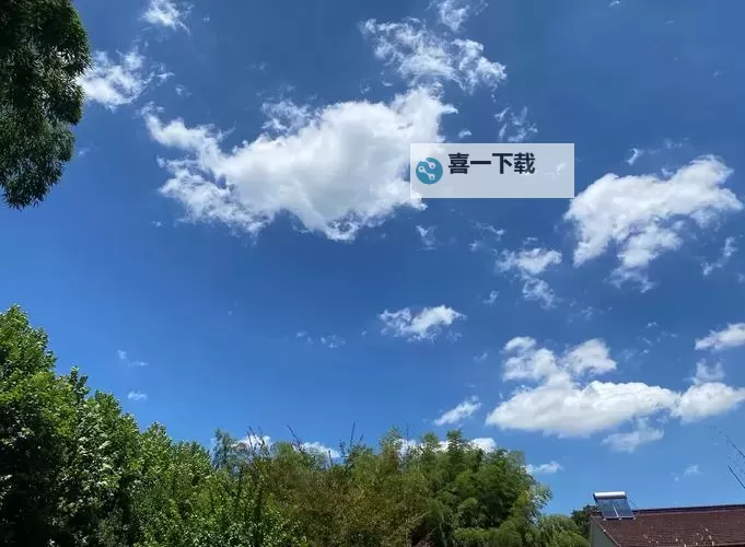 丫丫4080午夜无码：激情夜幕下的未知惊喜图1