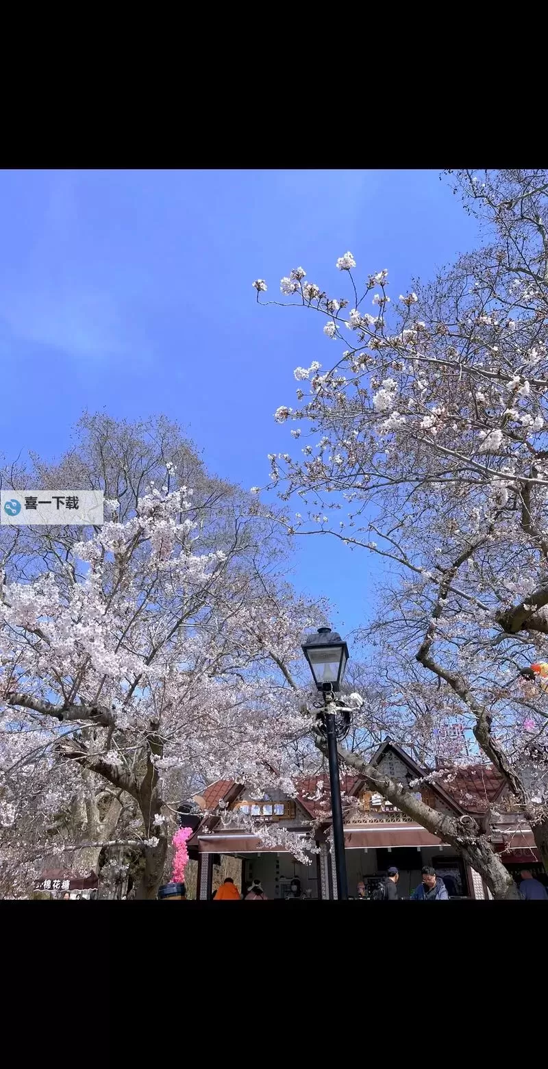 《魔兽大作战》主将选择推荐 初始主将选择哪个图1