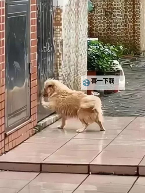 自己对着它坐下来：一段静谧的时光之旅图1