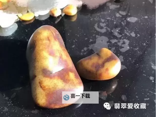 重皮哪里多?全面解析重皮的分布与特点图1