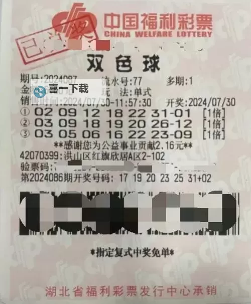 长期守号最佳5注:稳抓幸运密码的高效策略图1