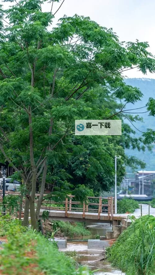 探索大胆粉嫩沟厕：打造精品沟厕的新潮体验图1