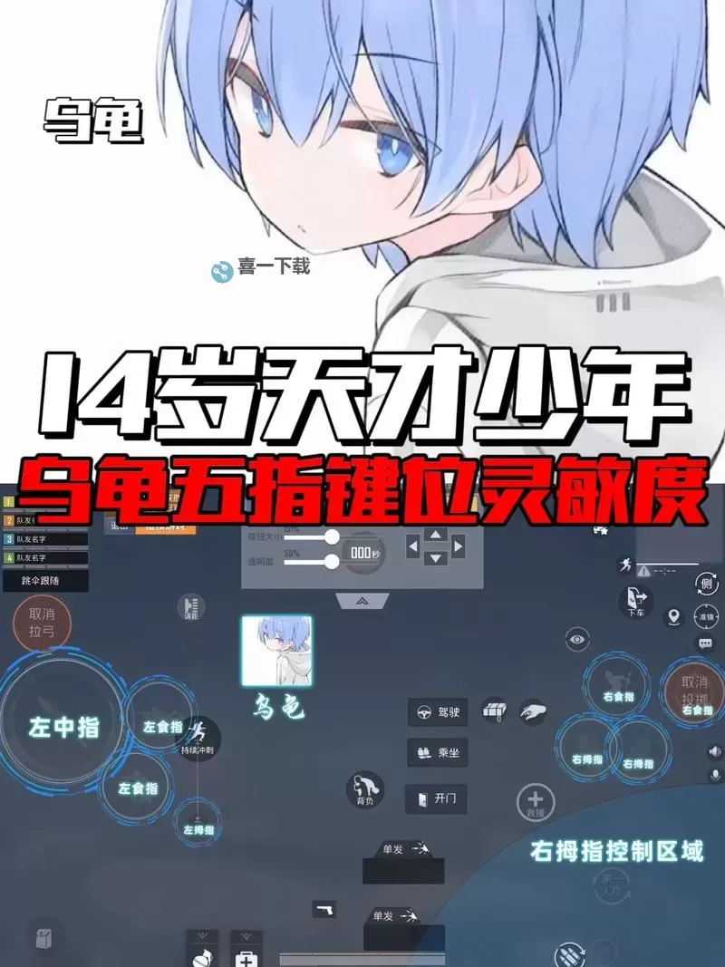 怎么提高龟灵敏度的实用方法与技巧图1