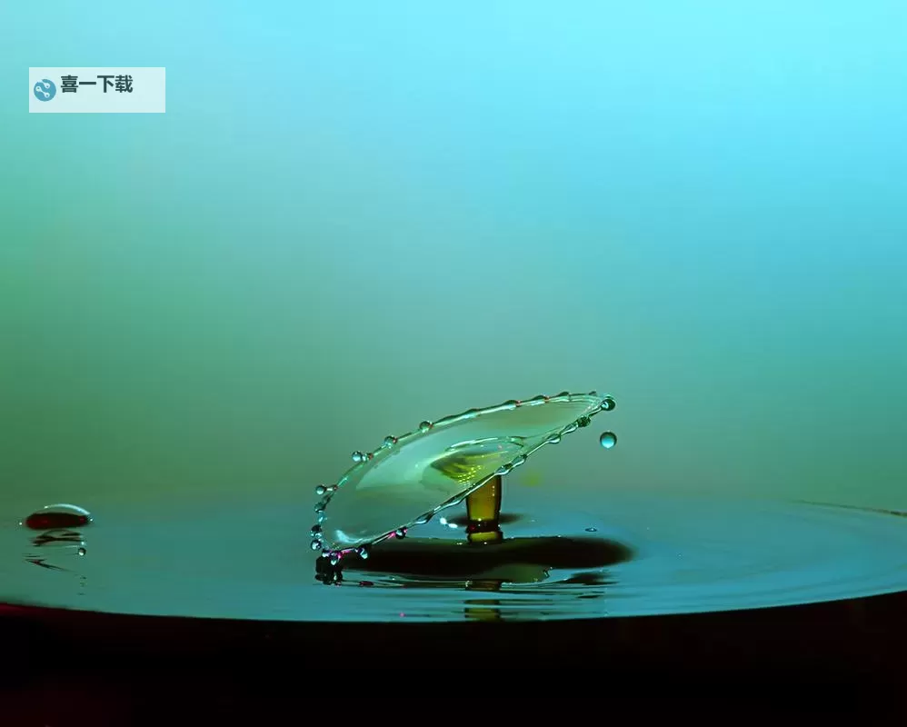 高清畅享：月夜直播视频免费观看TV带你尽享精彩纷呈的直播盛宴图1